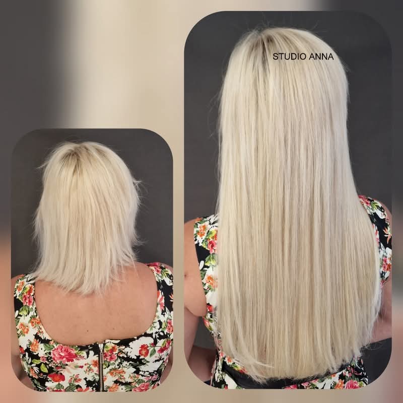 FB_IMG_1734368612075 FB IMG 1734368612075